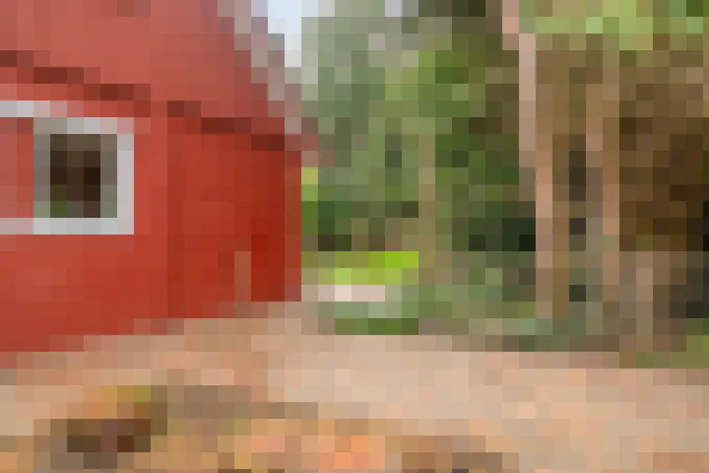 Klavergriend 65 Almere thumbnail 39