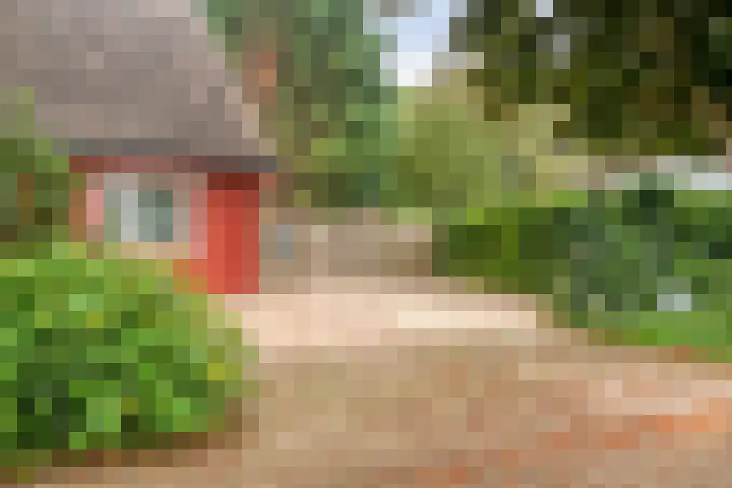 Klavergriend 65 Almere thumbnail 41