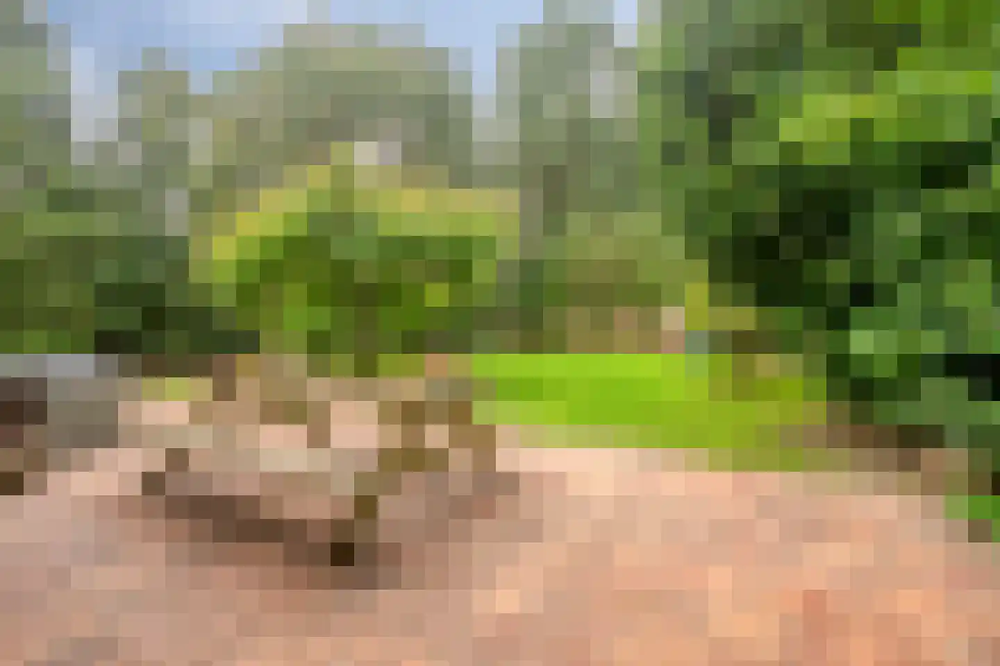 Klavergriend 65 Almere thumbnail 5