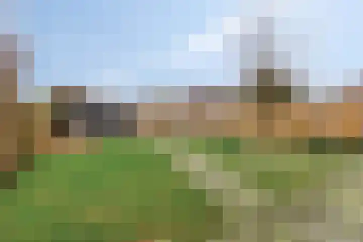 Klavergriend 75 A Almere thumbnail 37