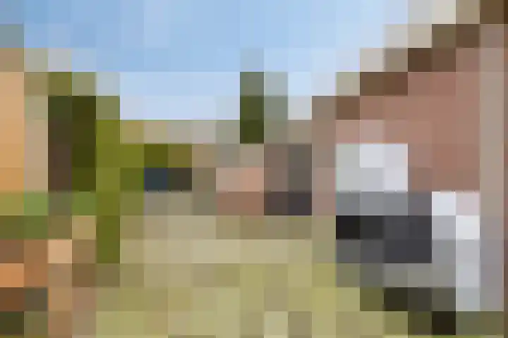 Klavergriend 75 A Almere thumbnail 39