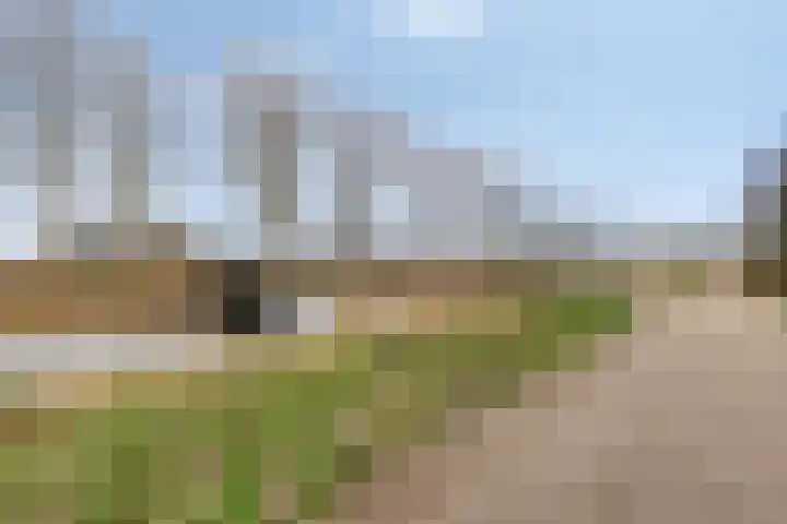 Klavergriend 75 A Almere thumbnail 41