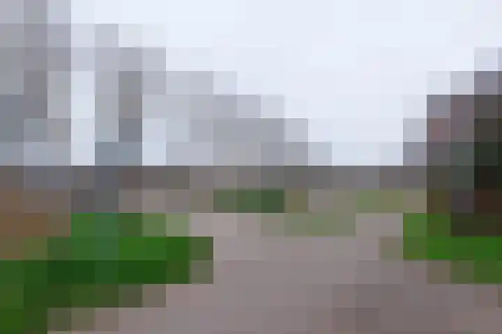 Klavergriend 77 B Almere thumbnail 35