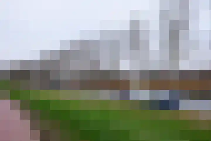 Klavergriend 77 B Almere thumbnail 36