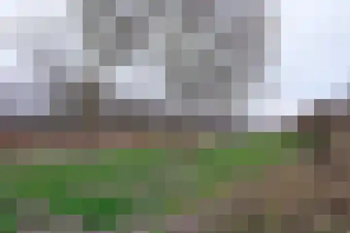 Klavergriend 77 B Almere thumbnail 37