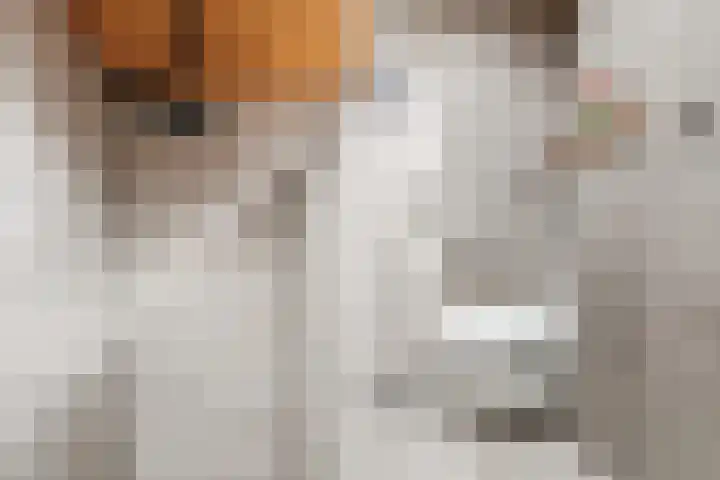 Klaverhoek 3 Eindhoven thumbnail 26