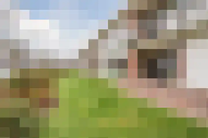 Klaverhoek 3 Eindhoven thumbnail 31