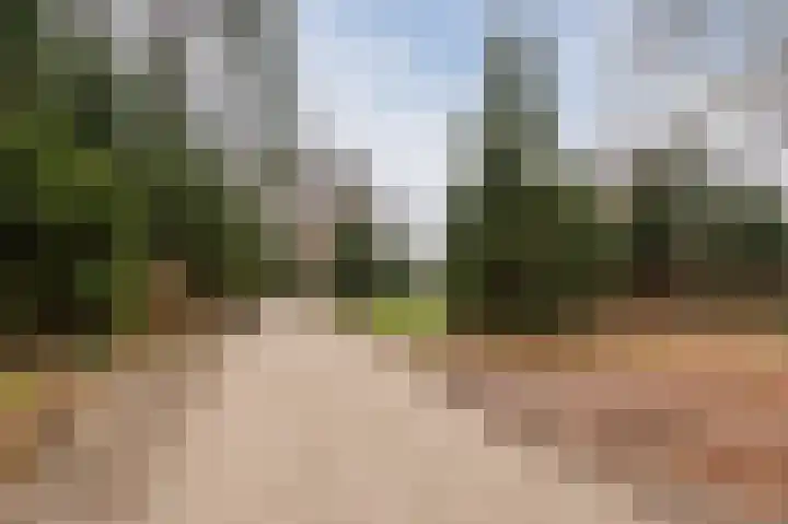 Klaverhoek 3 Eindhoven thumbnail 38