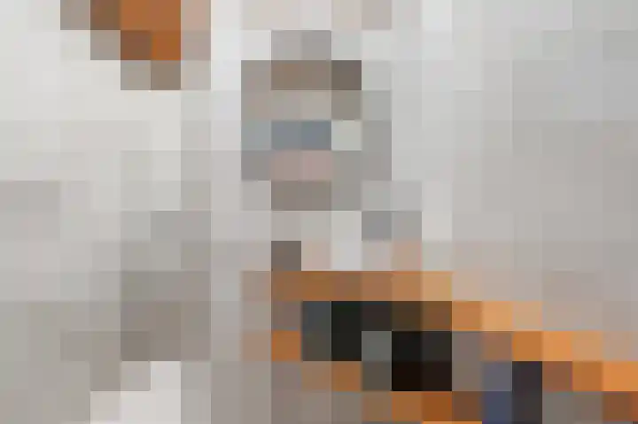 Klaverhoek 3 Eindhoven thumbnail 4