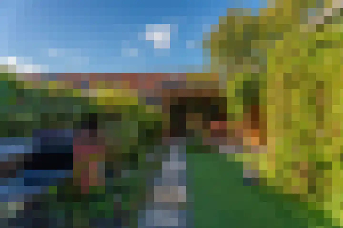 Klaverhof 16 Voorhout thumbnail 12