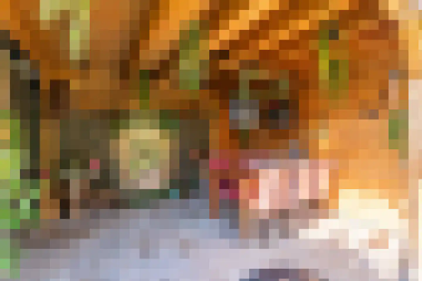 Klaverhof 16 Voorhout thumbnail 13