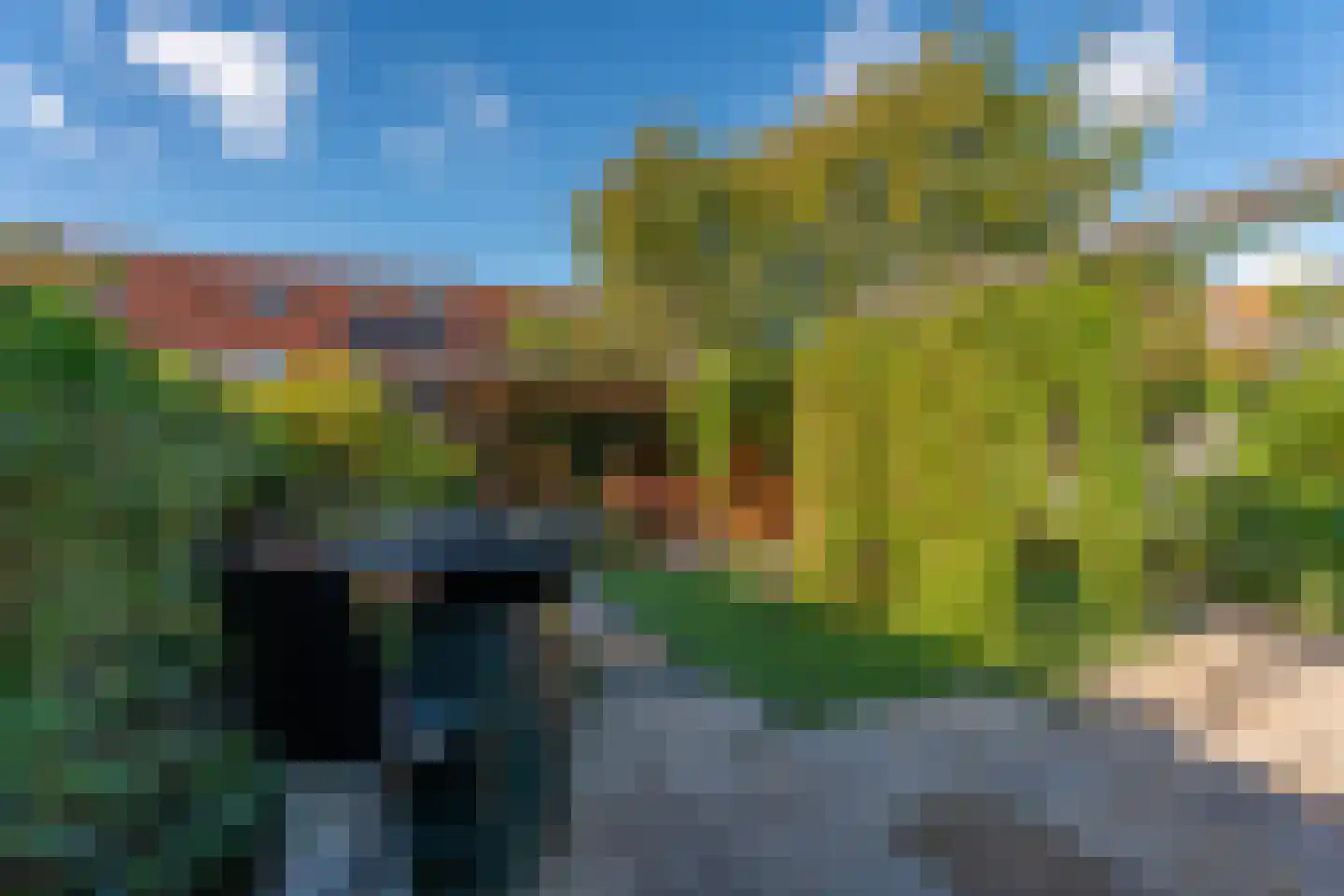 Klaverhof 16 Voorhout thumbnail 38