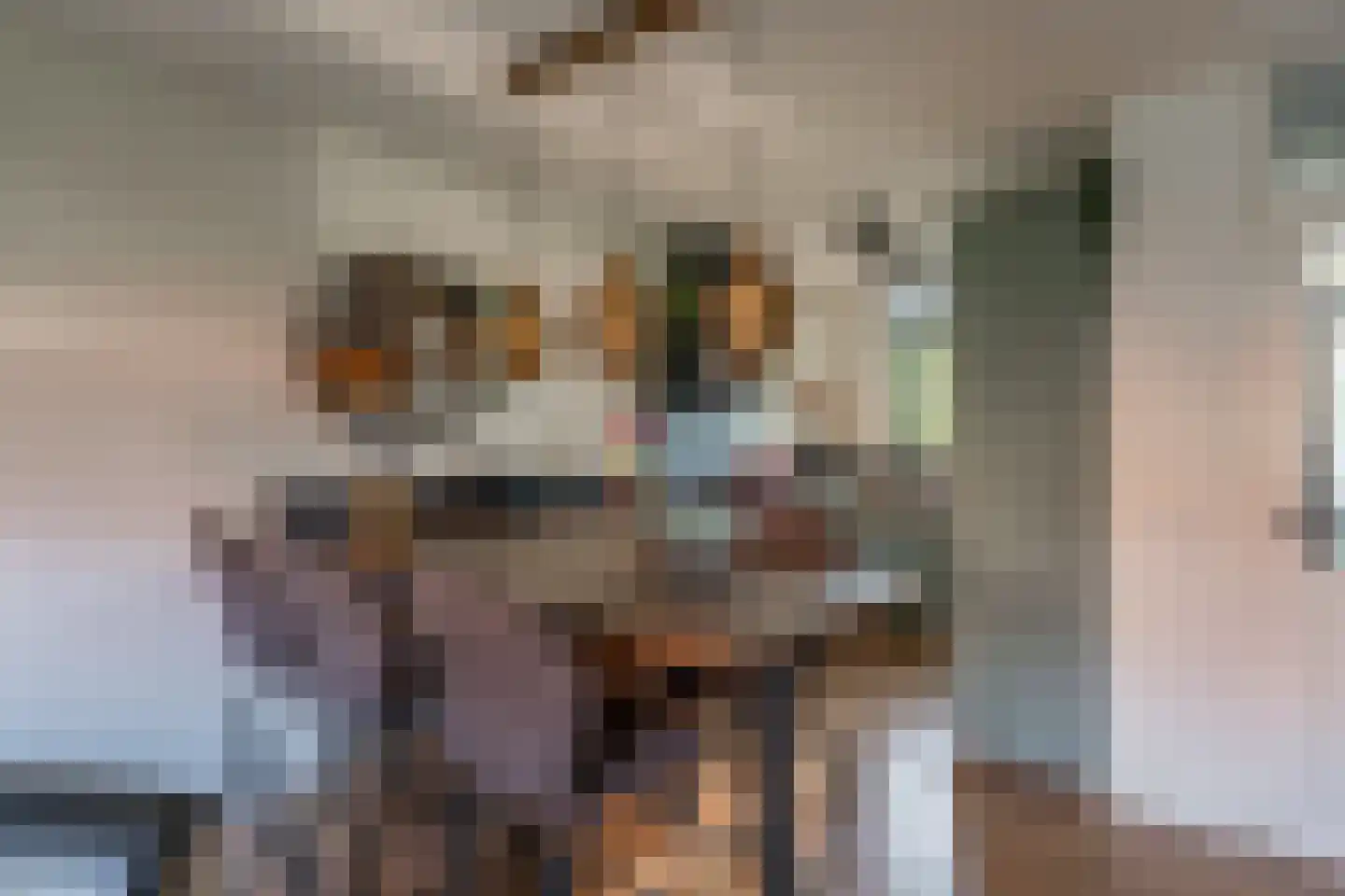Klaverhof 16 Voorhout thumbnail 4