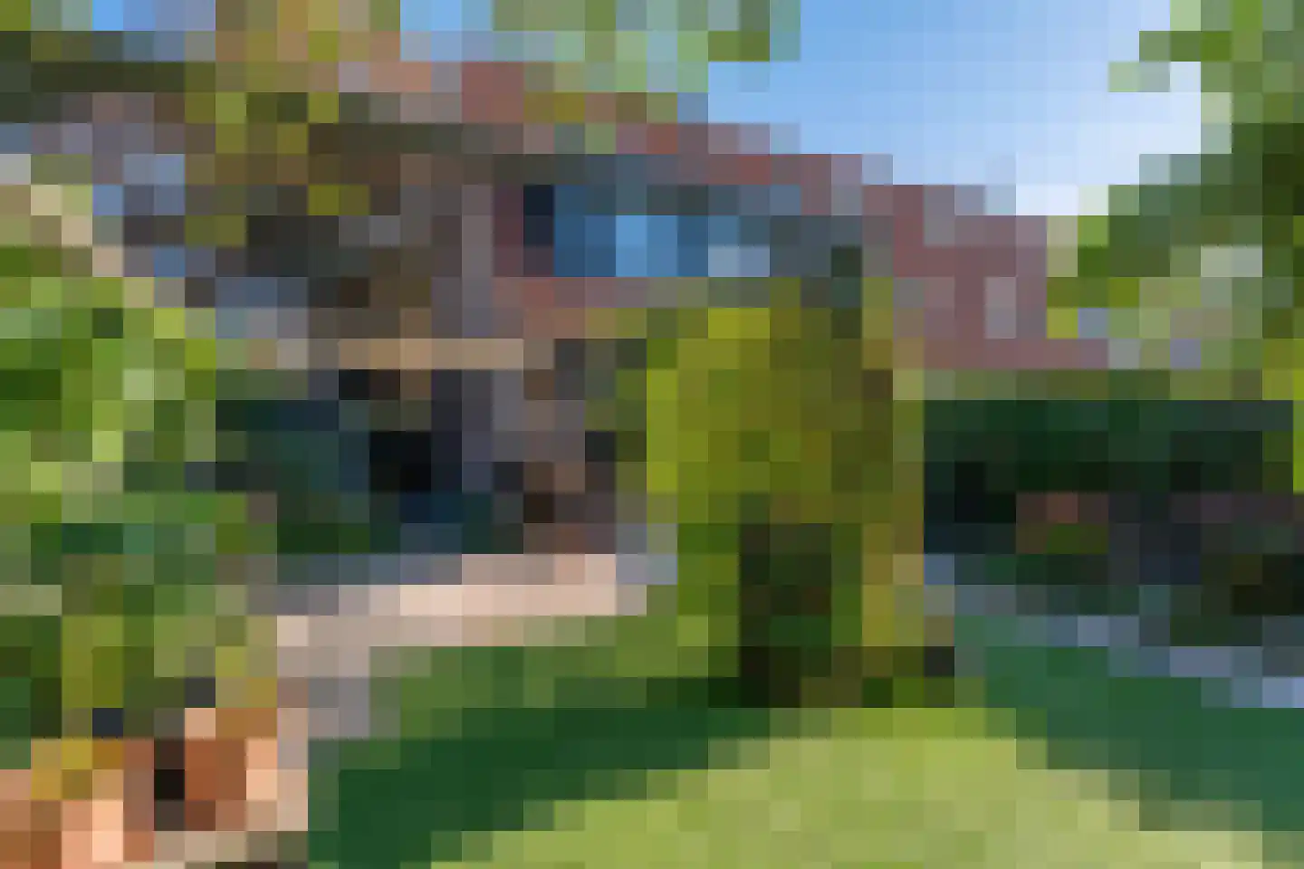 Klaverhof 16 Voorhout thumbnail 42