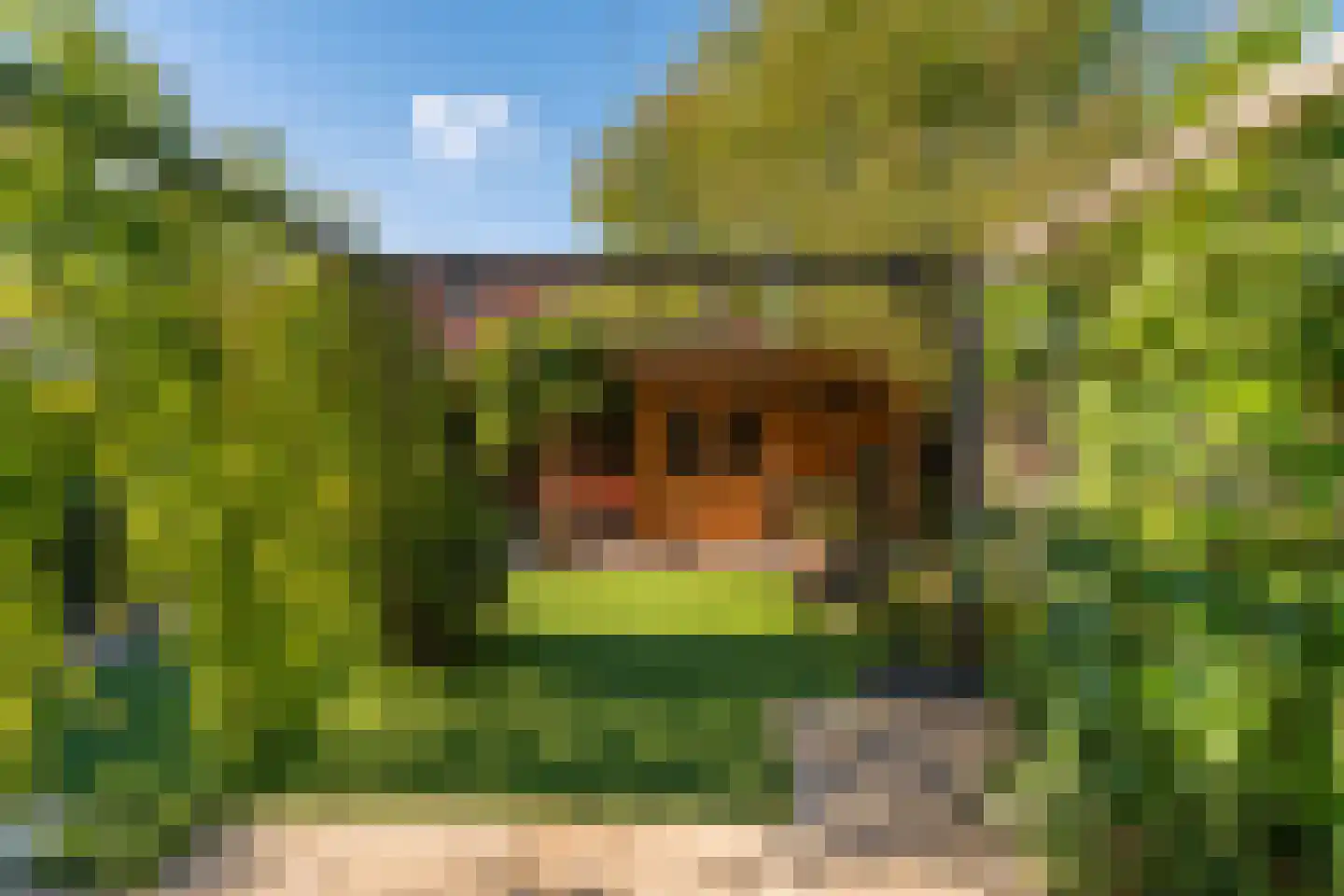 Klaverhof 16 Voorhout thumbnail 43