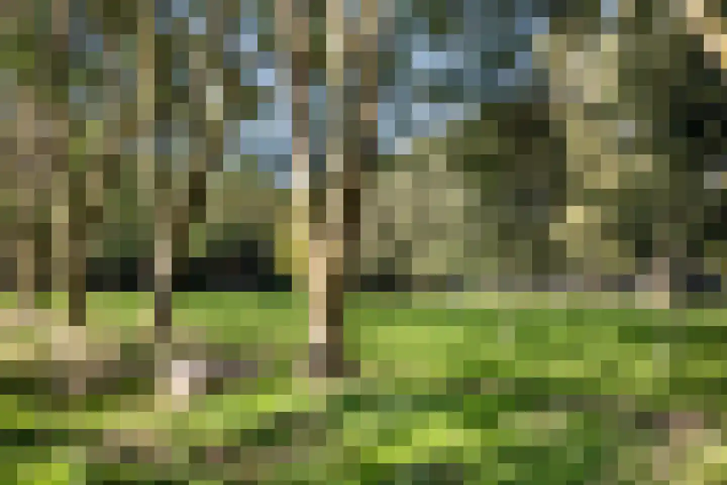Klaverhof 57 Alphen aan den Rijn thumbnail 39