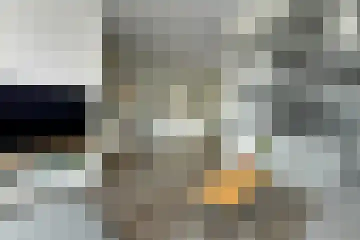 Klaverkamp 11 Elst thumbnail 10