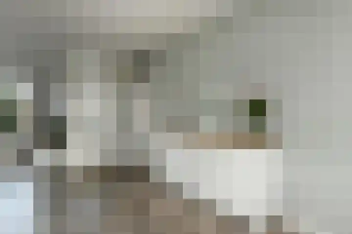Klaverkamp 11 Elst thumbnail 12