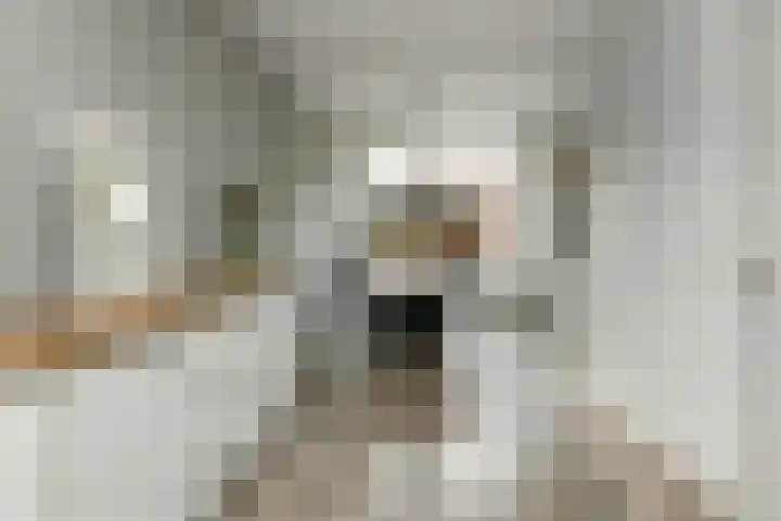 Klaverkamp 11 Elst thumbnail 14