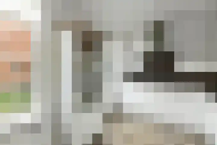 Klaverkamp 11 Elst thumbnail 19