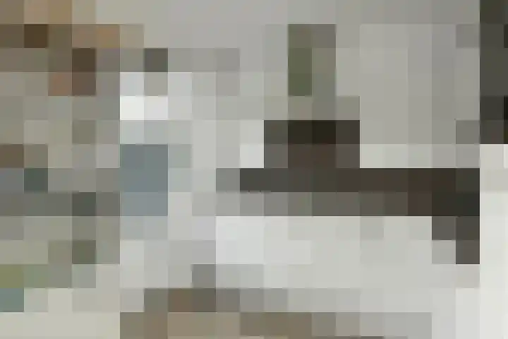 Klaverkamp 11 Elst thumbnail 20
