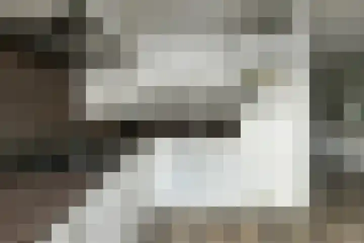 Klaverkamp 11 Elst thumbnail 22