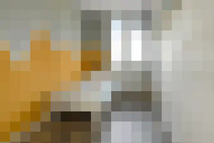 Klaverkamp 11 Elst thumbnail 29