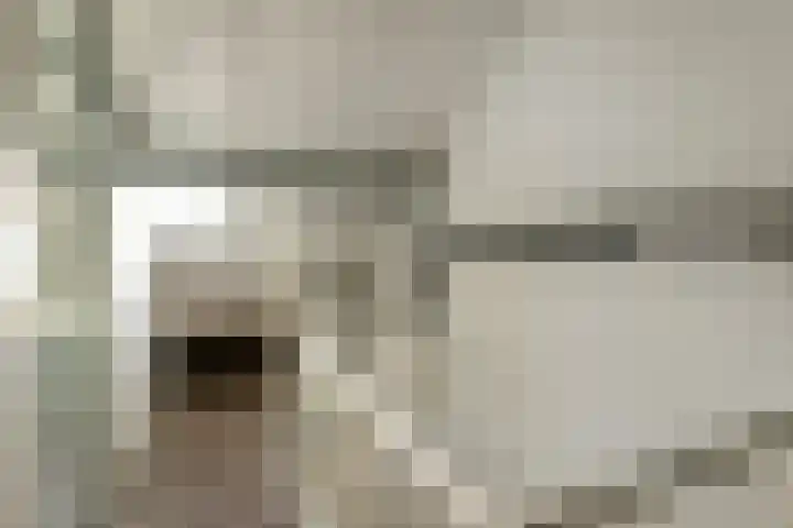 Klaverkamp 11 Elst thumbnail 36