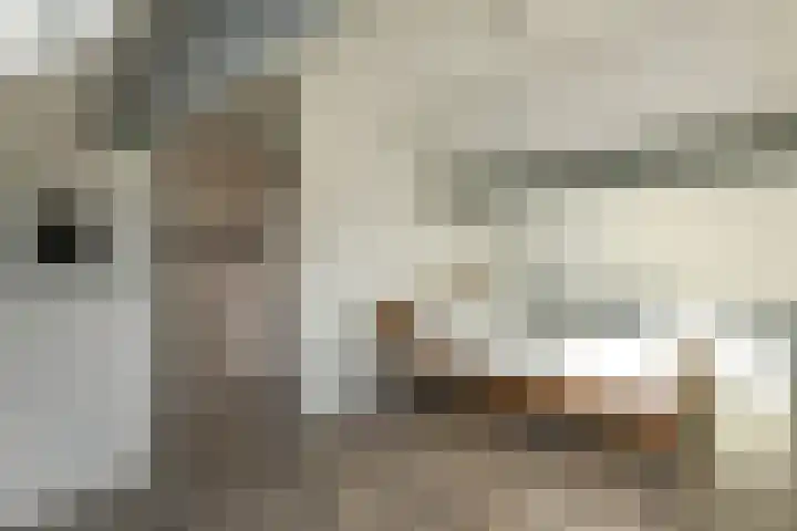 Klaverkamp 11 Elst thumbnail 40