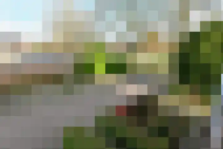 Klaverkamp 11 Elst thumbnail 49