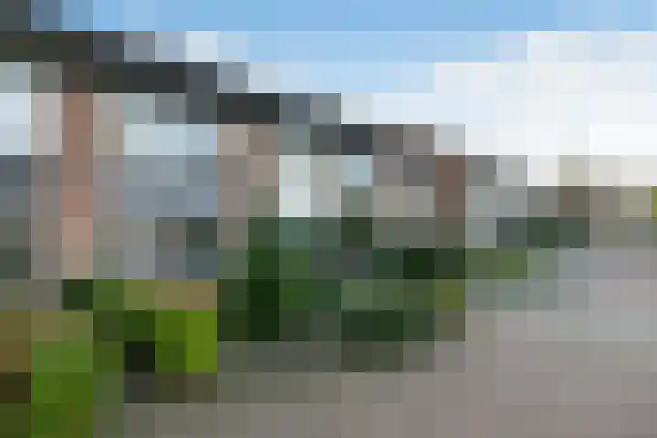 Klaverkamp 11 Elst thumbnail 5