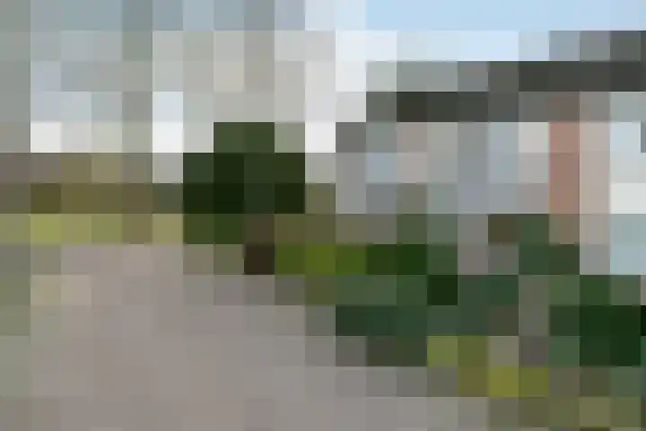 Klaverkamp 11 Elst thumbnail 6