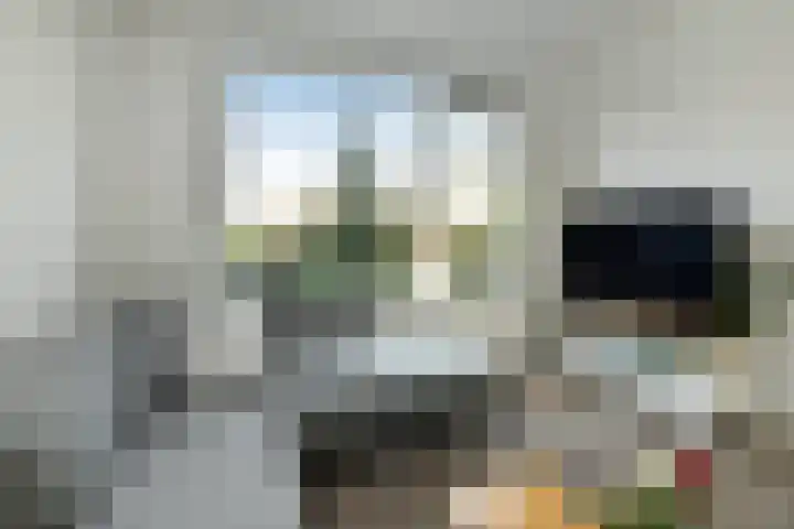 Klaverkamp 11 Elst thumbnail 8