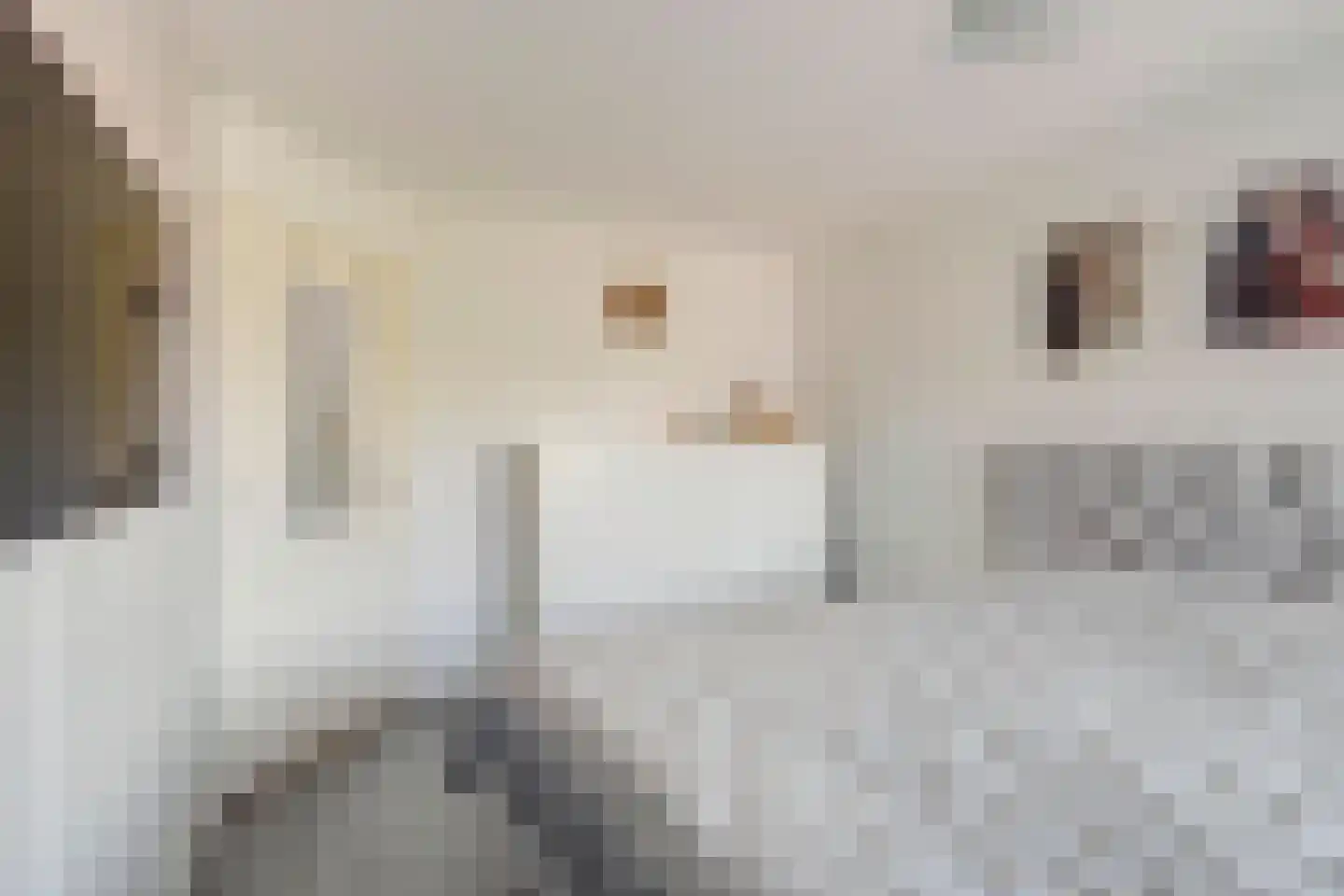 Klaverkamp 111 Vianen thumbnail 19