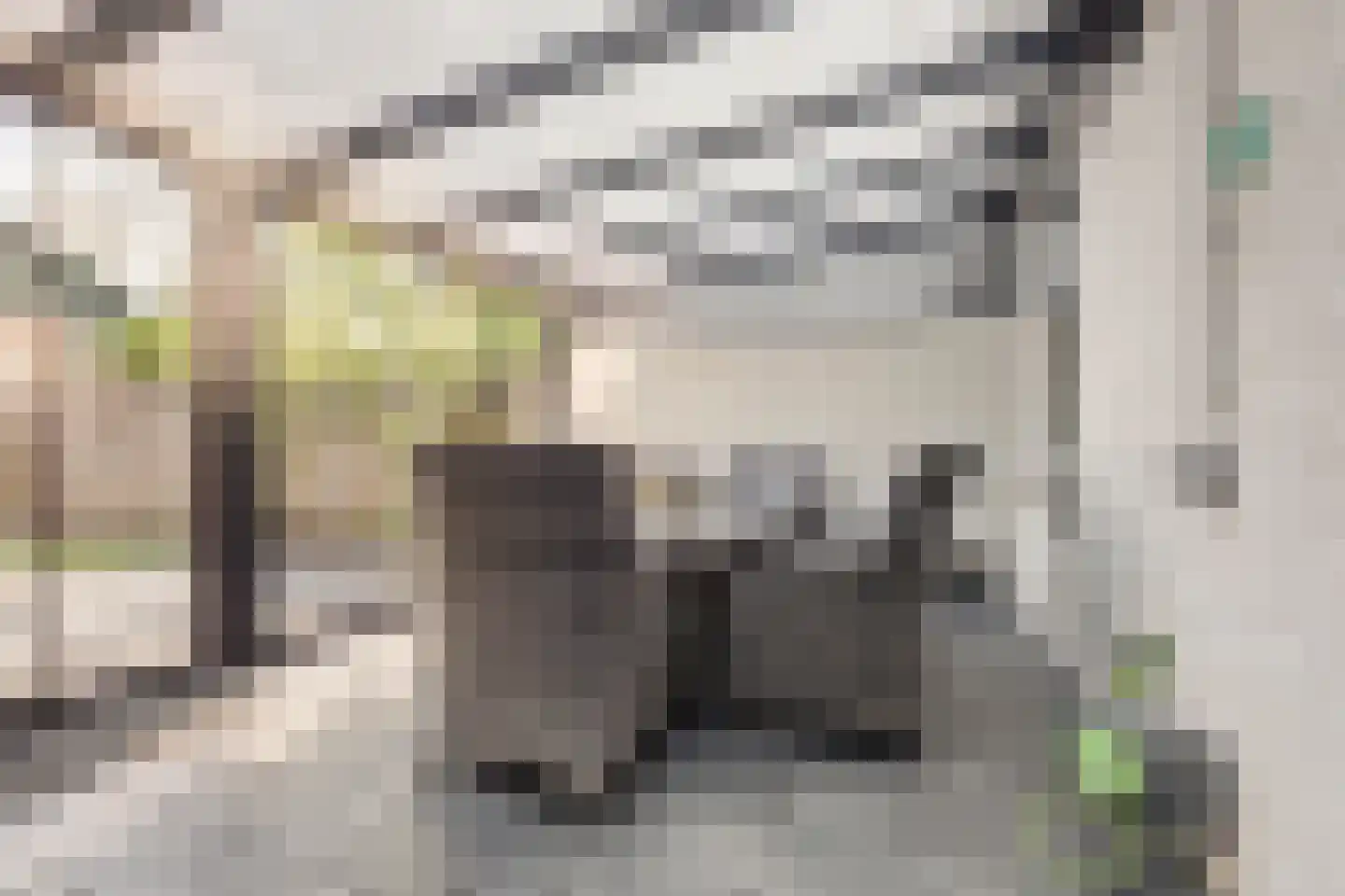 Klaverkamp 111 Vianen thumbnail 31