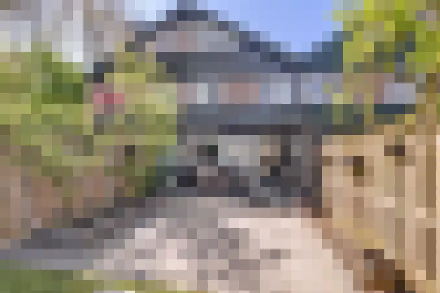 Klaverkamp 111 Vianen thumbnail 34