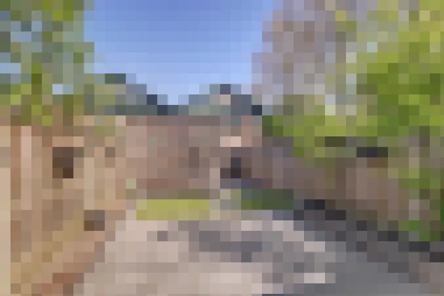 Klaverkamp 111 Vianen thumbnail 35