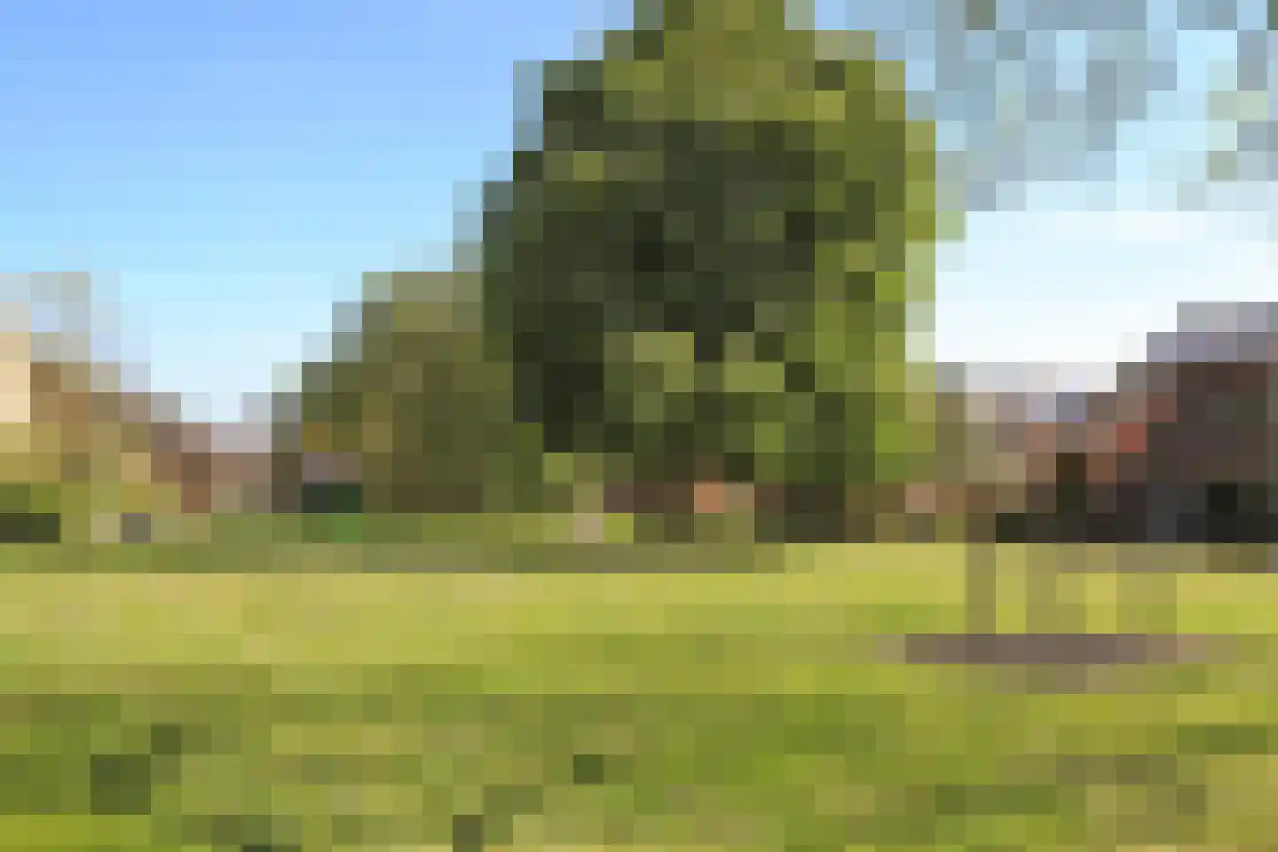 Klaverkamp 111 Vianen thumbnail 42