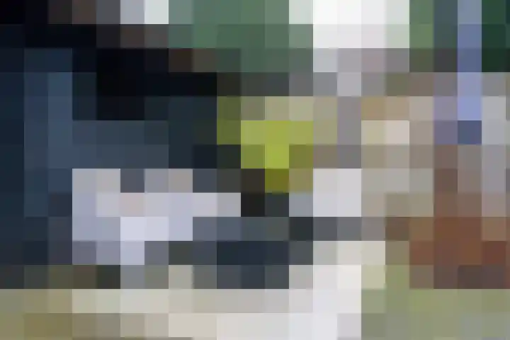 Klaverkamp 118 Vianen thumbnail 40
