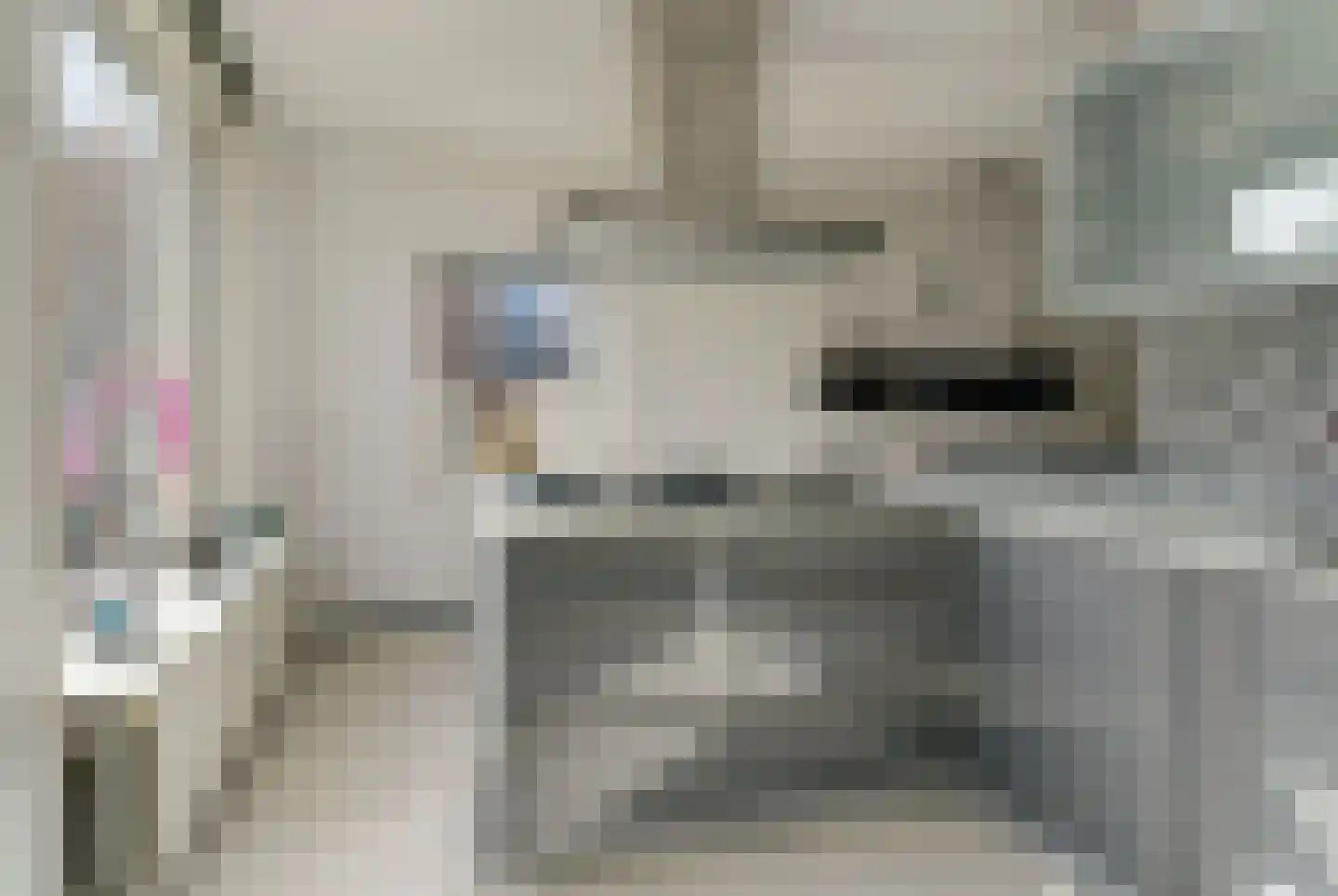 Klaverkamp 14 Elst thumbnail 11