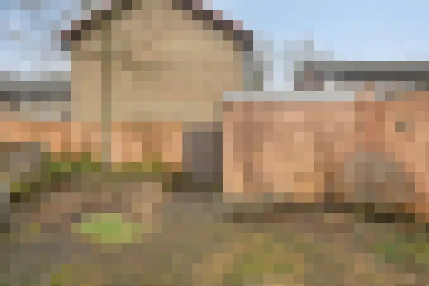 Klaverkamp 14 Epe thumbnail 34