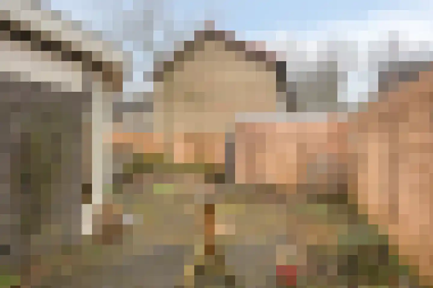 Klaverkamp 14 Epe thumbnail 35