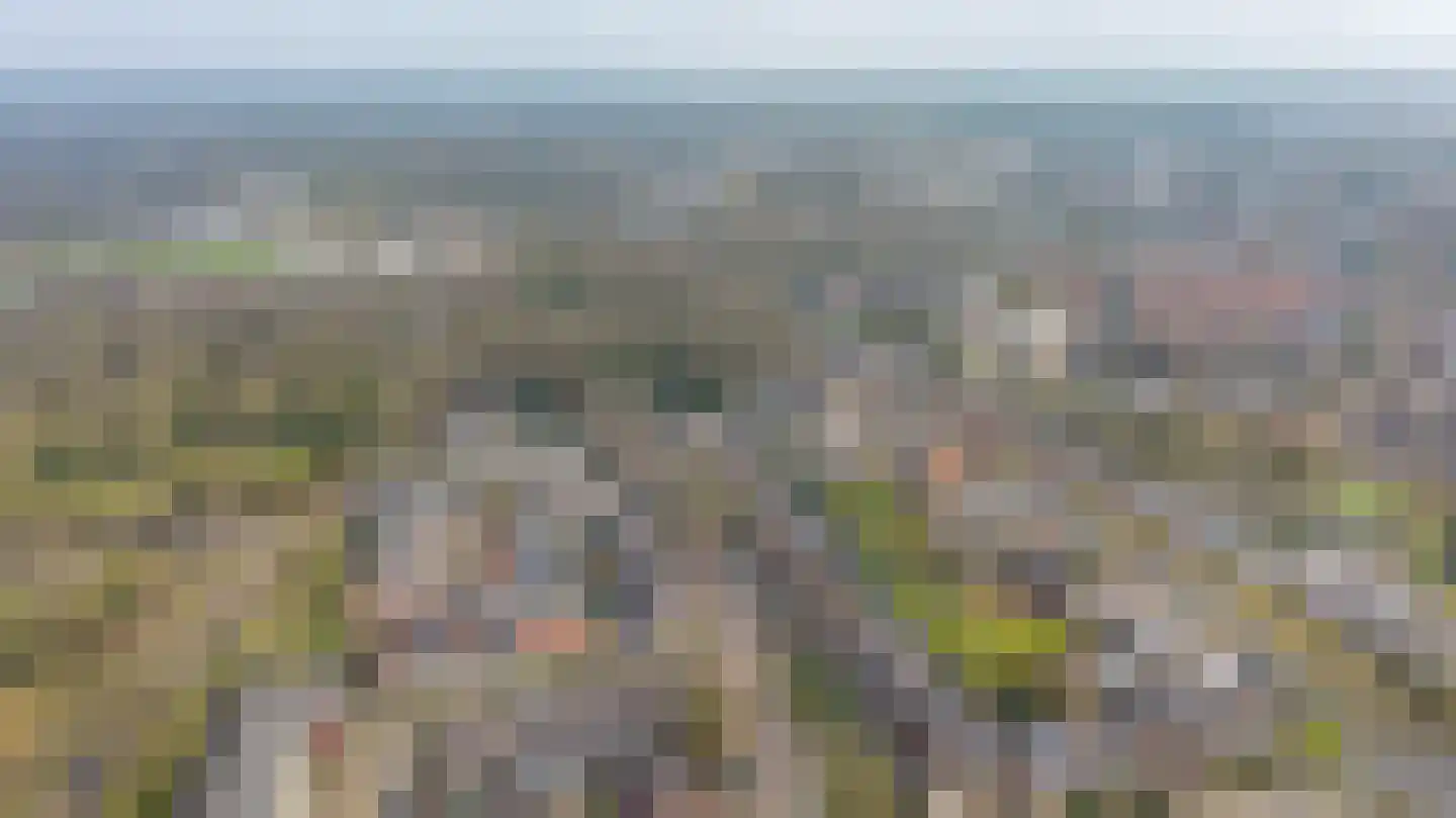 Klaverkamp 14 Epe thumbnail 4