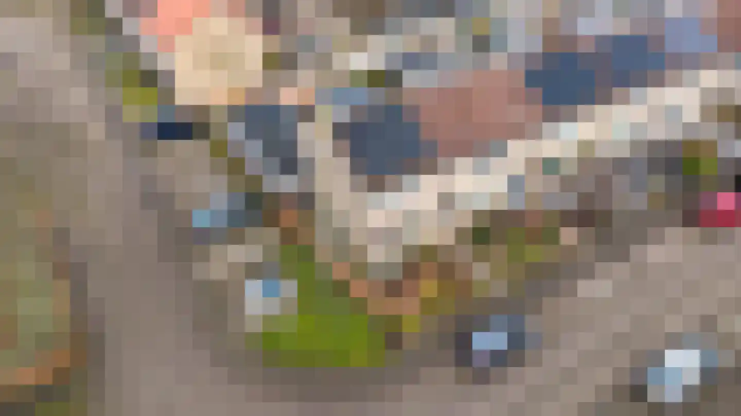 Klaverkamp 14 Epe thumbnail 40