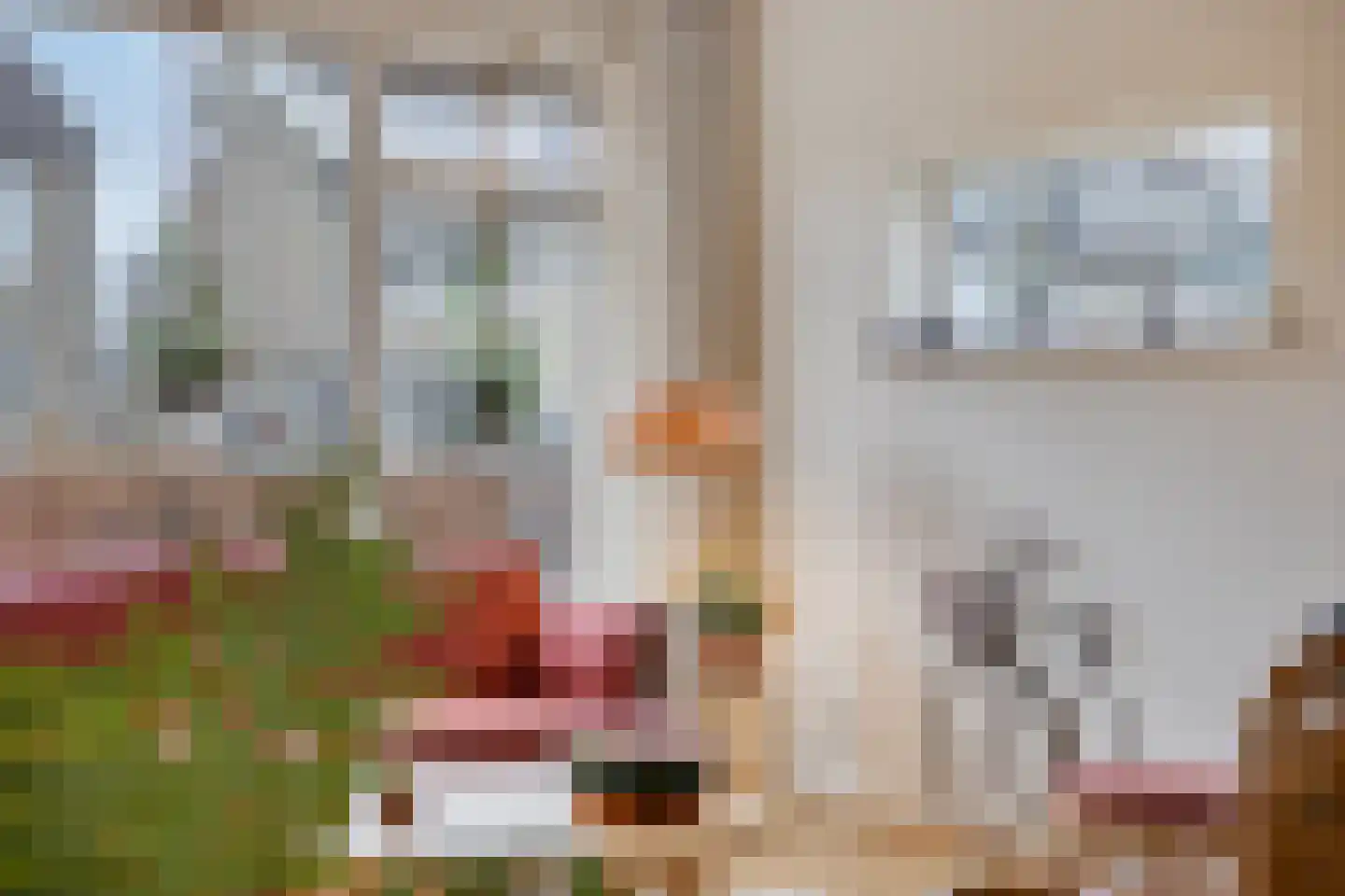 Klaverkamp 14 Epe thumbnail 8