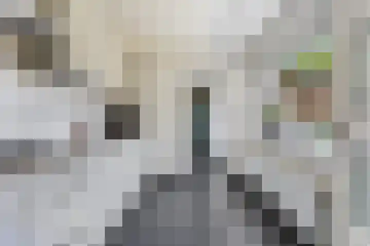 Klaverkamp 15 Epe thumbnail 10