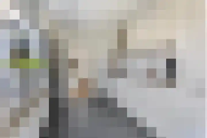 Klaverkamp 15 Epe thumbnail 11