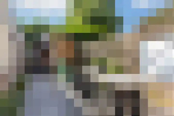 Klaverkamp 15 Epe thumbnail 13