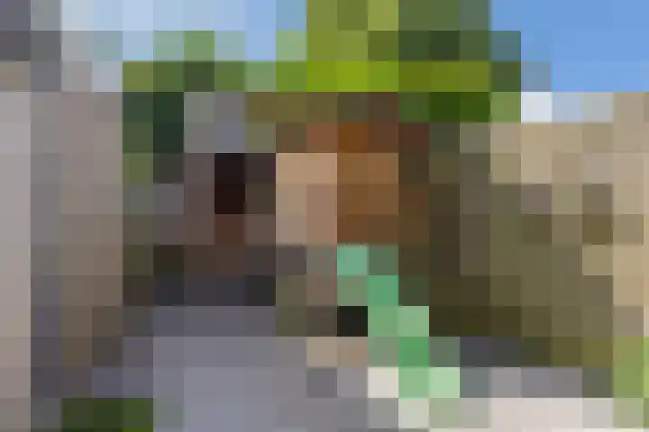 Klaverkamp 15 Epe thumbnail 14