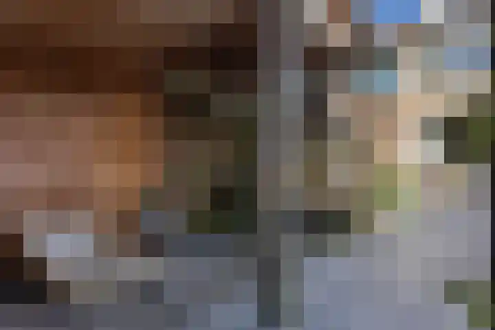 Klaverkamp 15 Epe thumbnail 16